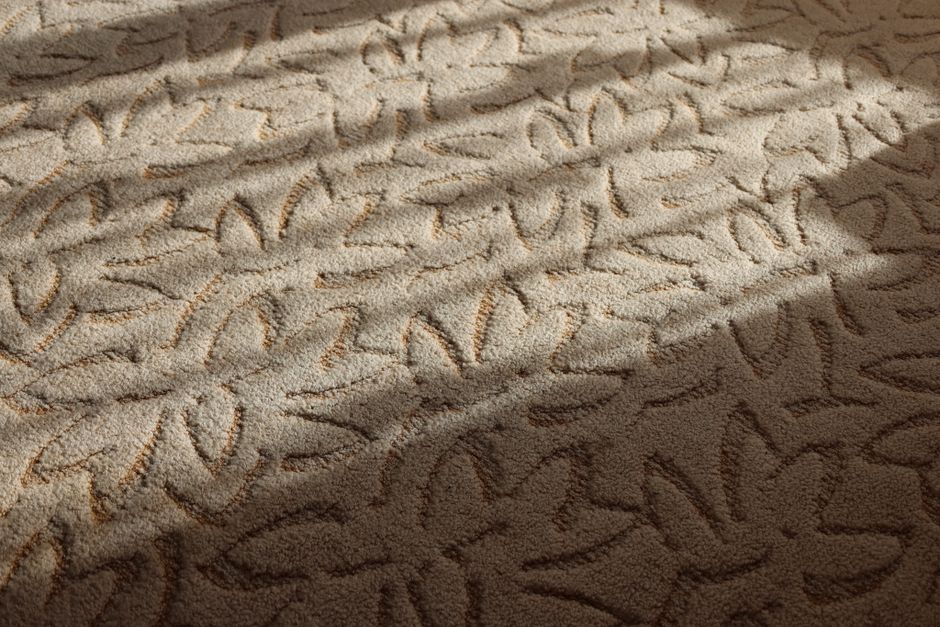 A close-up view of a textured beige carpet with a floral pattern under soft daylight, creating a warm and inviting atmosphere.
